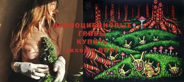 spice Балабаново