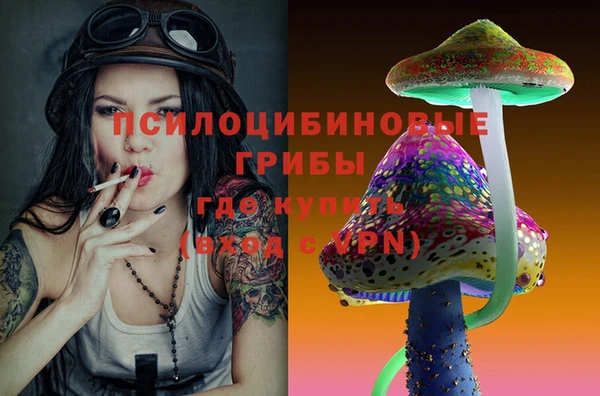 spice Балабаново