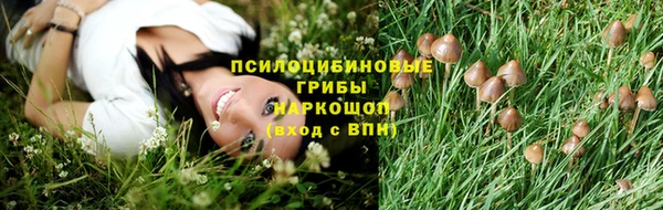 прущие грибы Сатка