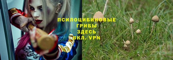 ALPHA PVP Баксан