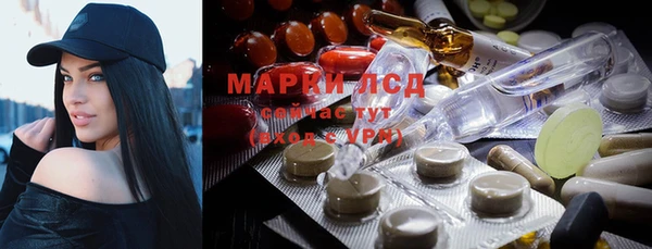 прущие грибы Сатка