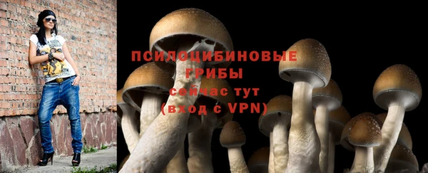 ALPHA PVP Баксан