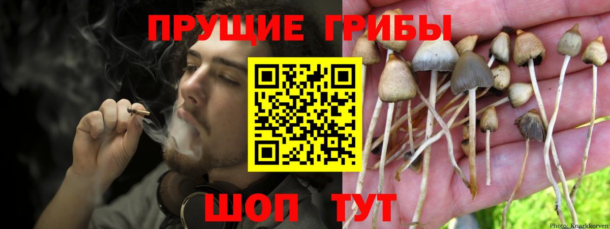 Галлюциногенные грибы мухоморы  Вход с VPN  Корсаков  Псилоцибиновые грибы ЛСД 